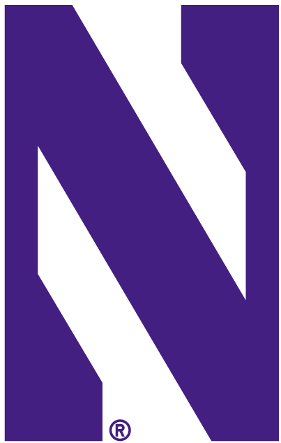 Northwestern Wildcats 1981-Pres Alternate Logo v4 diy fabric transfer